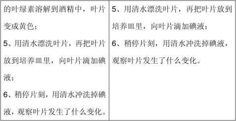 ʵ鱨
