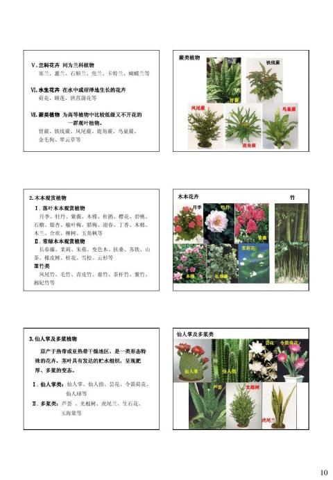 武汉农校电商直播课搬进田间地头 助力合百家乐官网链接作社解燃眉之急