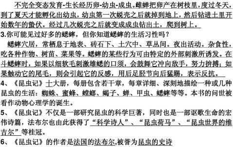 ����ͯ�������