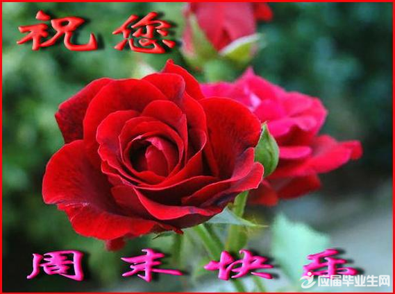 五月周末短信祝福语